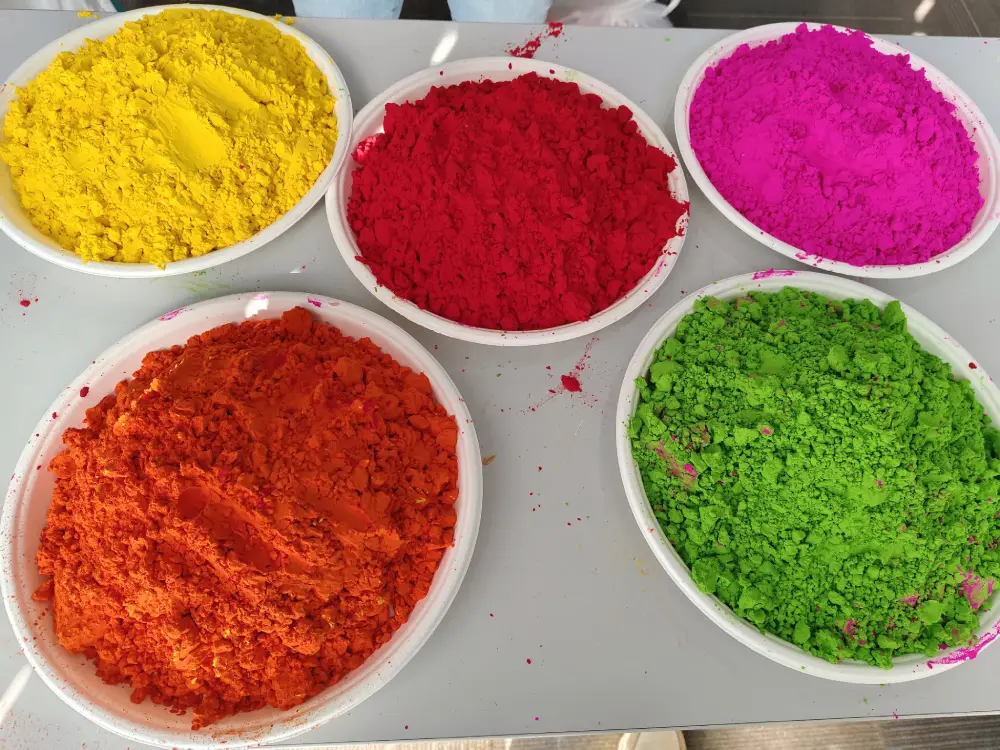 Holi